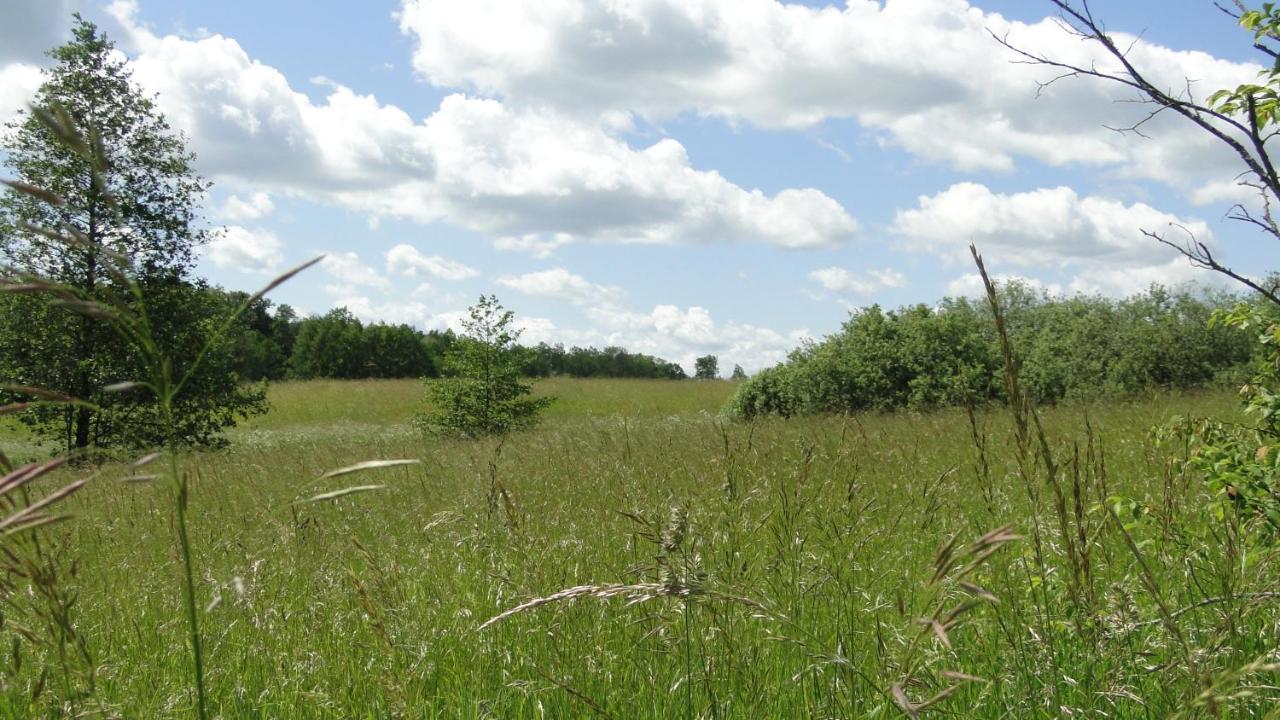 Agroturystyka Zywe Kruklanki Exterior photo
