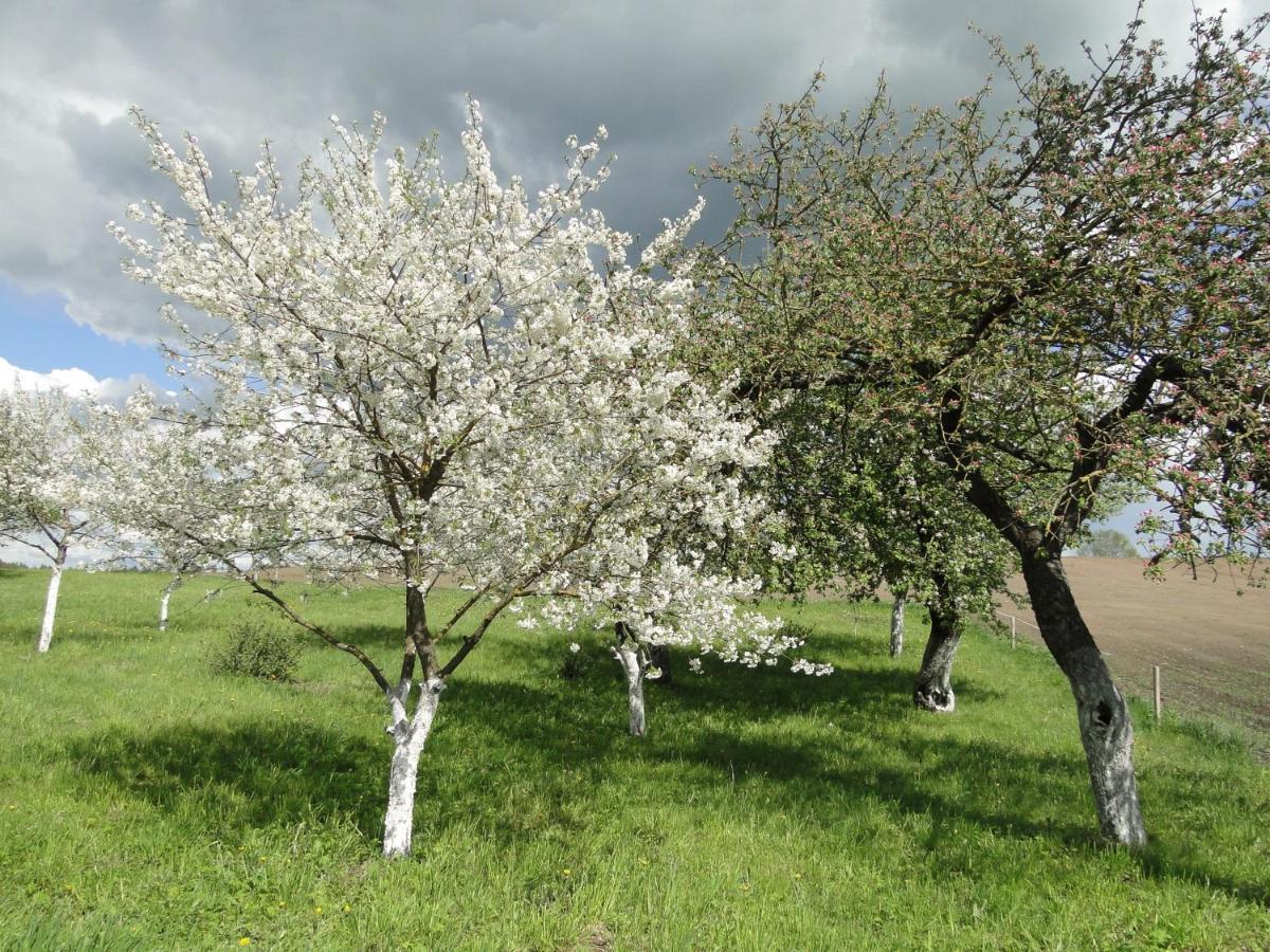 Agroturystyka Zywe Kruklanki Exterior photo
